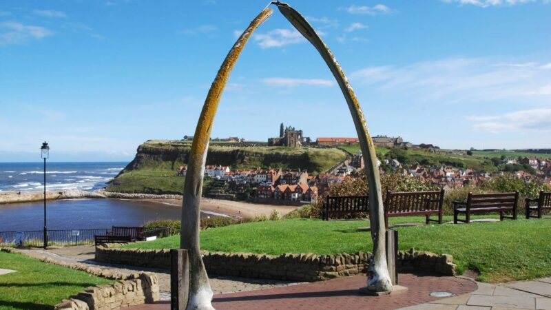 Whale Bone Arch